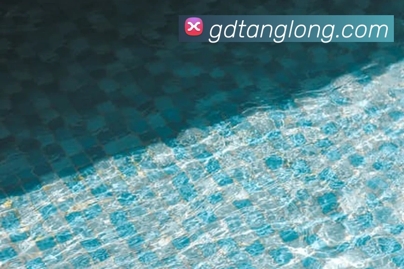 开云kaiyun网站APP 体育赛事宣传图